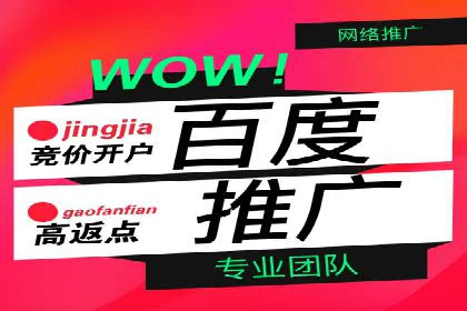 竞价广告的创意与执行：某快消品的营销突破